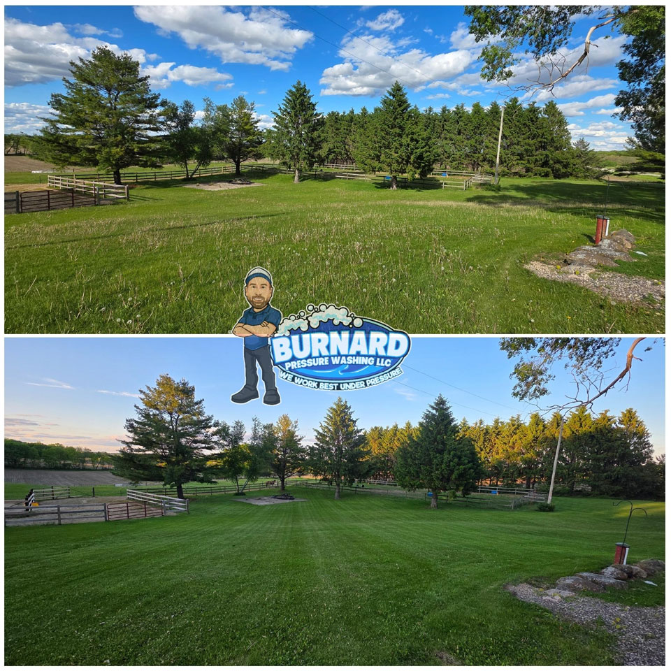 Mowing and Trimming Services