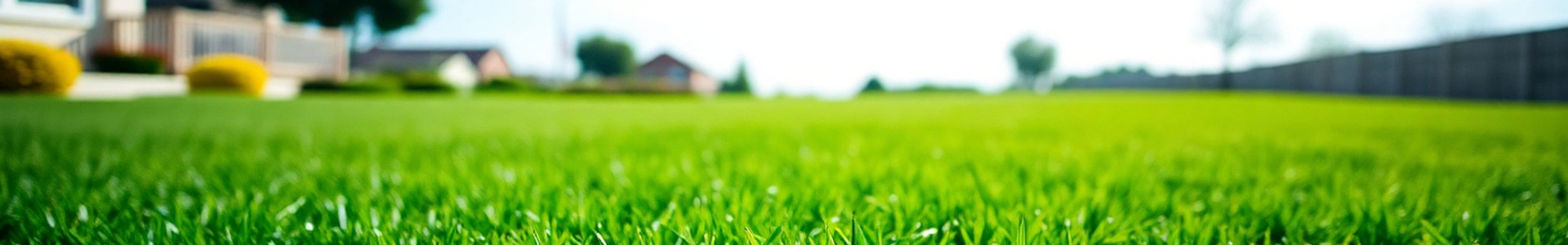 Mowing & Trimming Services