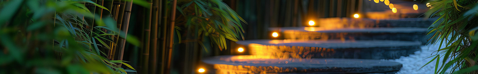 Landscape Lighting